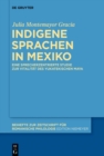 Image for Indigene Sprachen in Mexiko: Eine Sprecherzentrierte Studie Zur Vitalitat Des Yukatekischen Maya : Band 418
