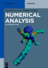 Image for Numerical Analysis : An Introduction
