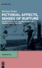 Image for Pictorial Affects, Senses of Rupture