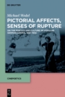 Image for Pictorial Affects, Senses of Rupture: On the Poetics and Culture of Popular German Cinema, 1910-1930