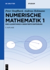 Image for Numerische Mathematik 1: Eine algorithmisch orientierte Einfuhrung