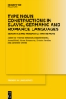 Image for Type Noun Constructions in Slavic, Germanic and Romance Languages: Semantics and Pragmatics on the Move