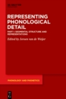 Image for Segmental Structure and Representations