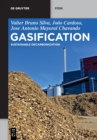 Image for Gasification  : sustainable decarbonization
