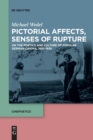 Image for Pictorial Affects, Senses of Rupture : On the Poetics and Culture of Popular German Cinema, 1910-1930
