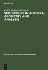 Image for Semigroups in algebra, geometry, and analysis