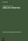 Image for Abelian Varieties: Proceedings of the International Conference held in Egloffstein, Germany, October 3-8, 1993