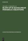 Image for Blow-Up in Quasilinear Parabolic Equations
