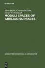 Image for Moduli Spaces of Abelian Surfaces: Compactification, Degenerations and Theta Functions : 12