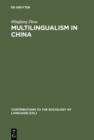 Image for Multilingualism in China: The Politics of Writing Reforms for Minority Languages 1949-2002
