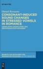 Image for Consonant-induced sound changes in stressed vowels in Romance