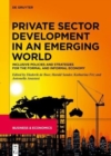 Image for Private Sector Development in an Emerging World