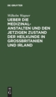 Image for Ueber Die Medizinal-Anstalten Und Den Jetzigen Zustand Der Heilkunde in Grossbritanien Und Irland