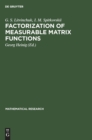 Image for Factorization of Measurable Matrix Functions
