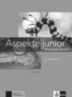 Image for Aspekte junior : Lehrerhandbuch C1