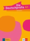 Image for Die Deutschprofis : Lehrerhandbuch A1
