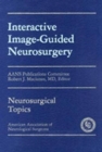 Image for Interactive Image-Guided Neurosurgery