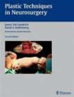 Image for Plastic Techniques in Neurosurgery