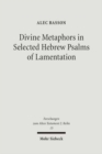 Image for Divine Metaphors in Selected Hebrew Psalms of Lamentation