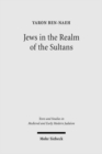 Image for Jews in the Realm of the Sultans : Ottoman Jewish Society in the Seventeenth Century