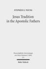 Image for Jesus Tradition in the Apostolic Fathers : Their Explicit Appeals to the Words of Jesus in Light of Orality Studies