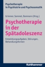 Image for Psychotherapie in der Spatadoleszenz
