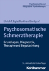 Image for Psychosomatische Schmerztherapie