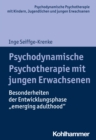 Image for Psychodynamische Psychotherapie mit jungen Erwachsenen