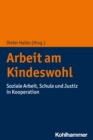 Image for Arbeit Am Kindeswohl