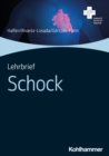 Image for Lehrbrief Schock