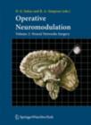 Image for Operative Neuromodulation: Volume 2: Neural Networks Surgery