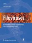 Image for Filoviruses: a compendium of 40 years of epidemiological, clinical, and laboratory studies : 20