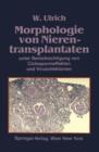 Image for Morphologie von Nierentransplantaten : unter Berucksichtigung von Ciclosporineffekten und Virusinfektionen