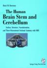Image for The Human Brain Stem and Cerebellum