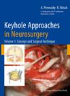 Image for Keyhole approaches in neurosurgeryVol. 1: Concept and surgical techniques