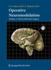 Image for Operative Neuromodulation : Volume 2: Neural Networks Surgery