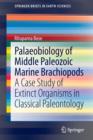 Image for Palaeobiology of Middle Paleozoic Marine Brachiopods : A Case Study of Extinct Organisms in Classical Paleontology