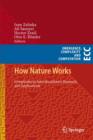 Image for How Nature Works: Complexity in Interdisciplinary Research and Applications