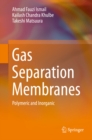 Image for Gas Separation Membranes: Polymeric and Inorganic