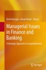 Image for Managerial Issues in Finance and Banking: A Strategic Approach to Competitiveness