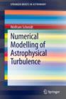 Image for Numerical Modelling of Astrophysical Turbulence