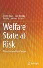 Image for Welfare State at Risk