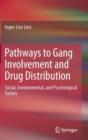 Image for Pathways to gang involvement and drug distribution  : social, environmental, and psychological factors