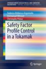 Image for Safety factor profile control in a tokamak