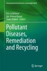 Image for Pollutant diseases, remediation and recycling