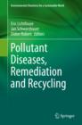 Image for Pollutant Diseases, Remediation and Recycling