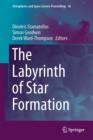 Image for The labyrinth of star formation