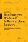 Image for Multi Tenancy for Cloud-Based In-Memory Column Databases