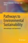 Image for Pathways to environmental sustainability: methodologies and experiences