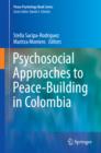 Image for Psychosocial approaches to peace-building in Colombia : 25